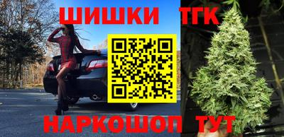 СК Лесосибирск