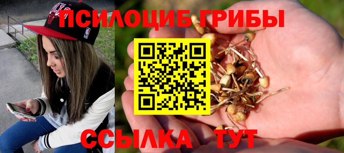 Галлюциногенные грибы мицелий  Вход с VPN  Псилоцибиновые грибы MAGIC MUSHROOMS  сколько стоит  Петровск 